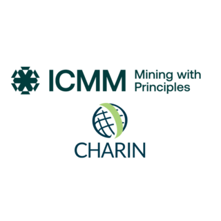Celebrating the first year of the ICMM CharIN Mining Task Force